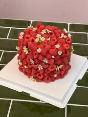 Jardin de Framboises cake