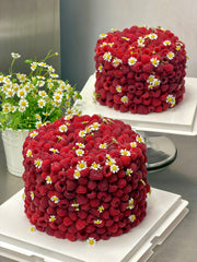 🥳Jardin de Framboises cake