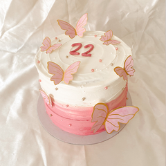 Butterfly Cake